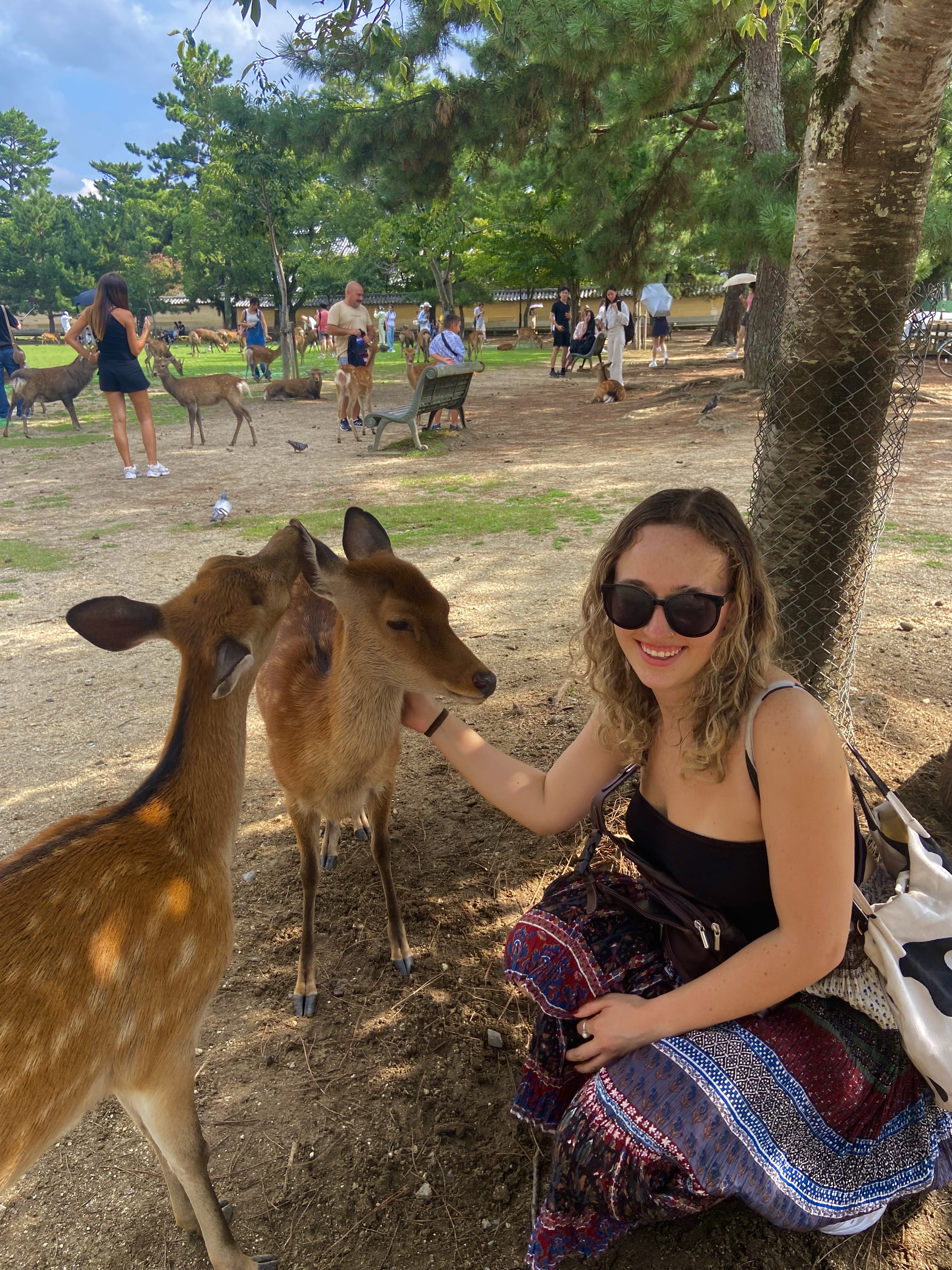 Nara, Japan